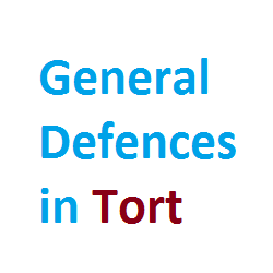 general defences in tort research paper