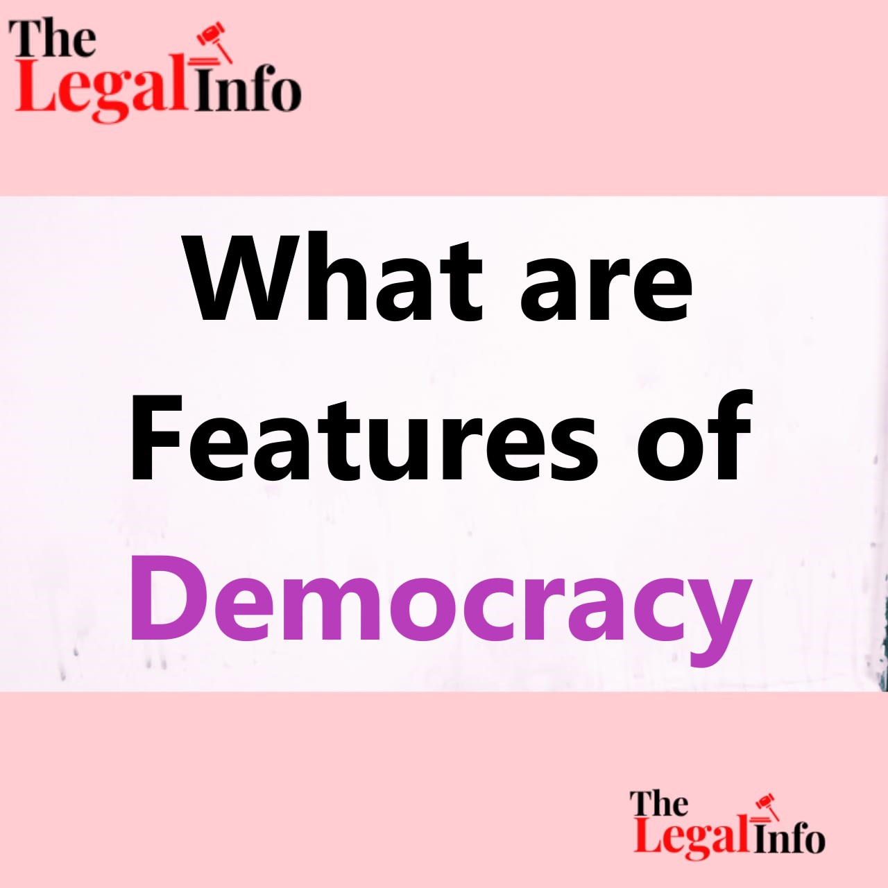 What are Features of Democracy The Legal Info